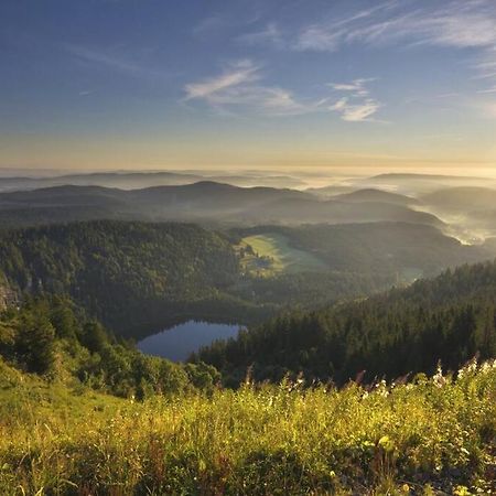 Waldloft Titisee Eksteriør bilde