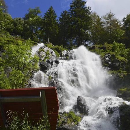 Waldloft Titisee Eksteriør bilde