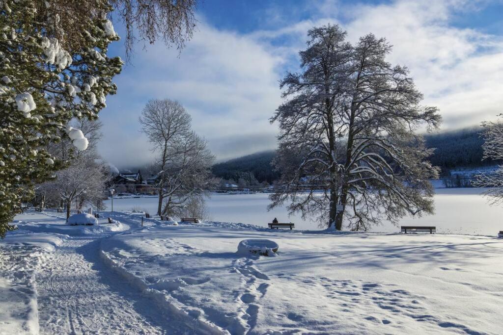 Waldloft Titisee Eksteriør bilde