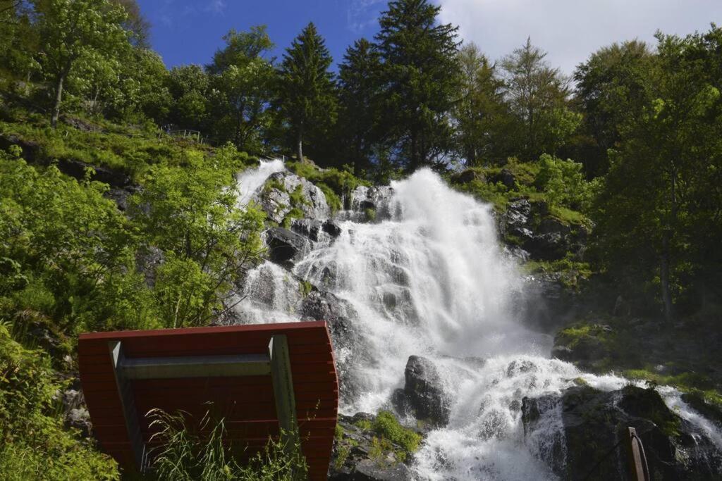 Waldloft Titisee Eksteriør bilde
