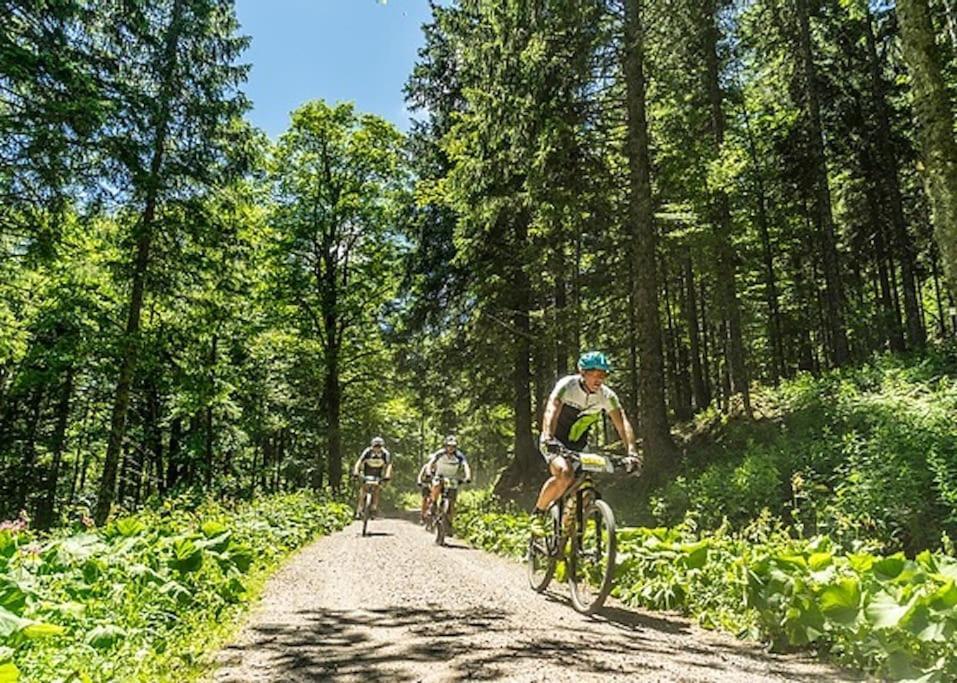 Waldloft Titisee Eksteriør bilde
