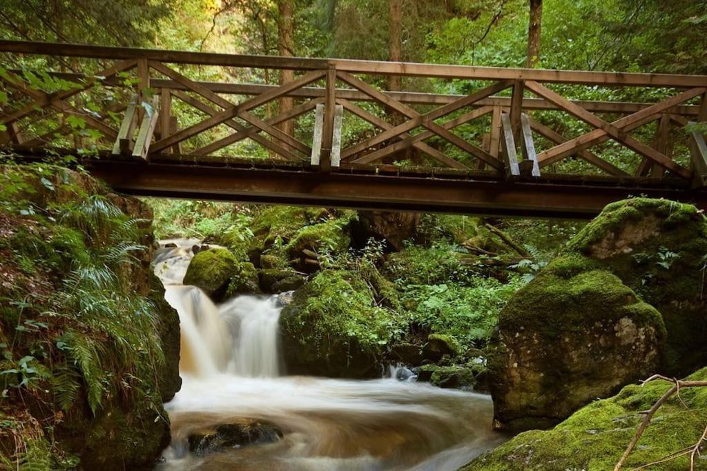 Waldloft Titisee Eksteriør bilde